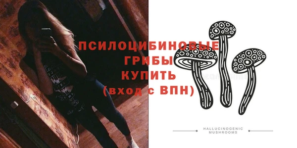 меф Новодвинск