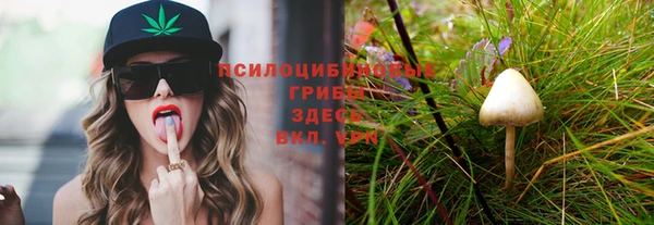 каннабис Новокубанск