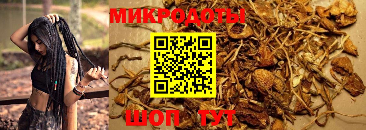 Приморско-Ахтарск  Галлюциногенные грибы прущие грибы  Вход с VPN 