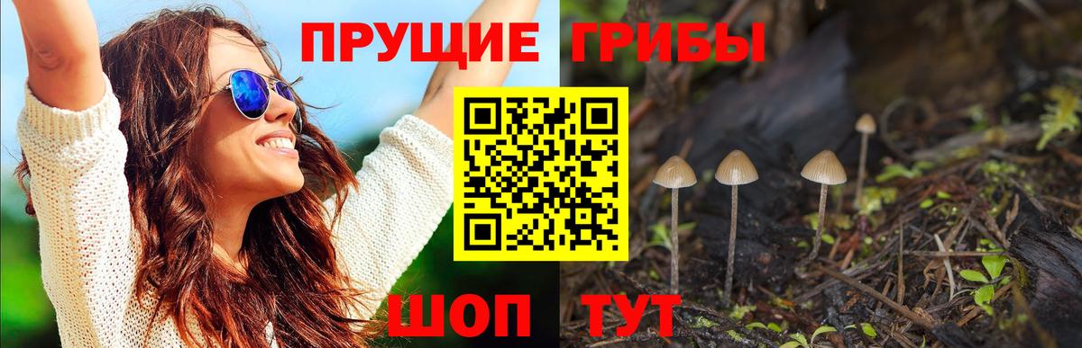 Галлюциногенные грибы Cubensis Приморско-Ахтарск
